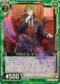 黑蔷薇 真双子叶