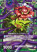 恶臭害虫 大王花椿象