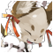 ボブテイル