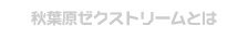 秋葉原ゼクストリームとは