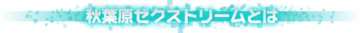 秋葉原ゼクストリームとは